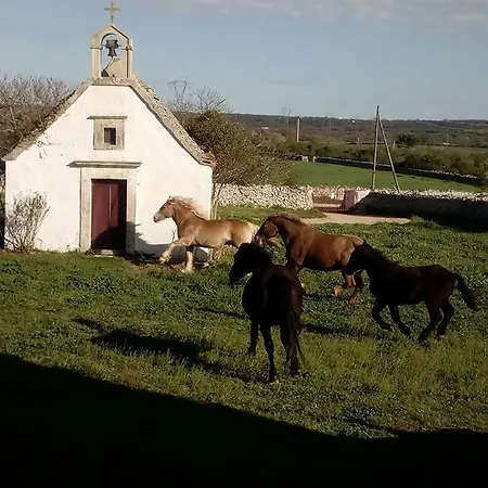 La Casa Di Enza * Noci